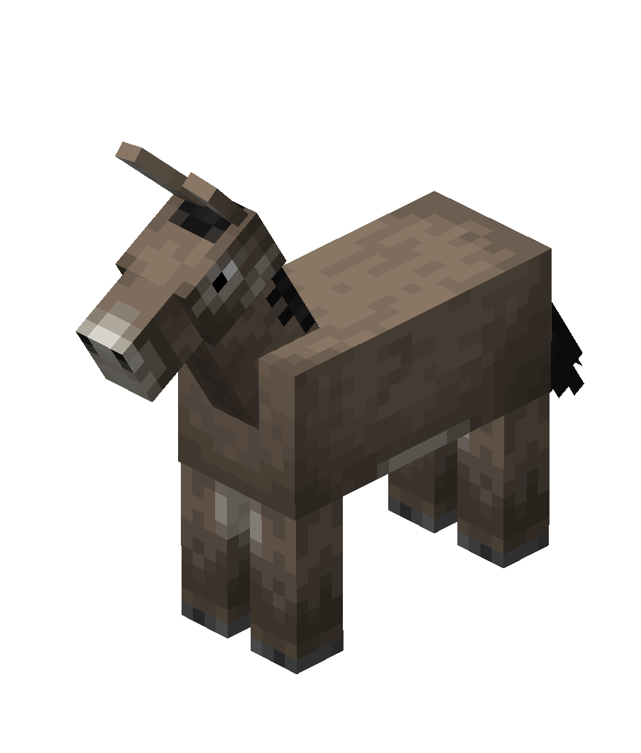 Donkey