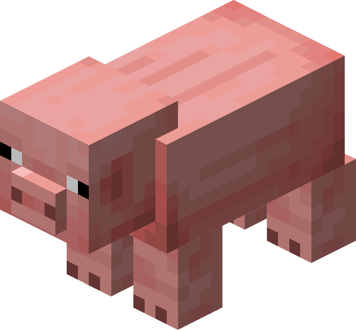 Pig