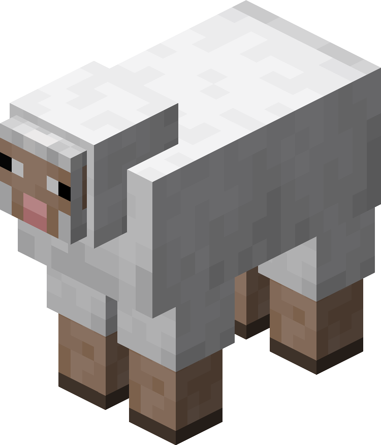 Sheep